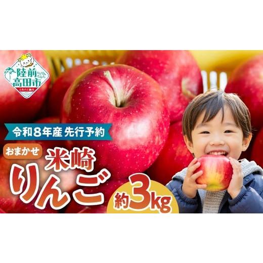 ふるさと納税 りんご 岩手県 陸前高田市 2026年発送先行予約 米崎 りんご 3kg 品種おまかせ 数量限定 リンゴ 林檎 りんご 9月 10月 11月 12月 青林 王林 ジョ…