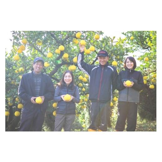 ふるさと納税 みかん・柑橘類 高知県 宿毛市 浜田農園の土佐文旦5kg家庭用 家庭用 5kg ( 9,000円 )