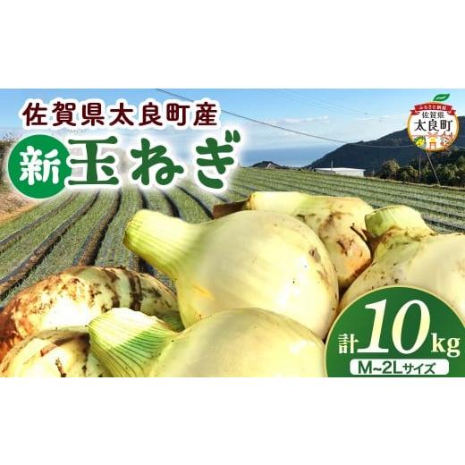 ふるさと納税 野菜類 玉ねぎ 佐賀県 太良町 先行受付 佐賀県太良町産〜牟田農園の春の新玉ねぎ[M〜2L]10kg たまねぎ タマネギ 野菜 新玉ねぎ 玉ねぎ 10kg …