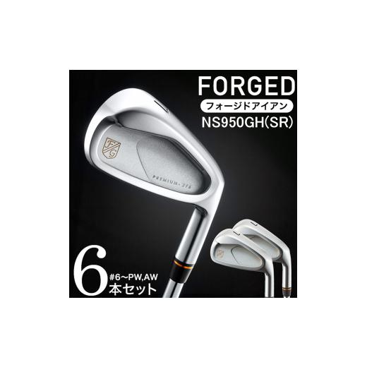 ふるさと納税 ゴルフグッズ クラブ 兵庫県 市川町 PREMIUM-216 キャビティ アイアン セット(6本セット)#6〜PW、AW NS950GH(SR) 680BE06N./ 藤本技工 軟…