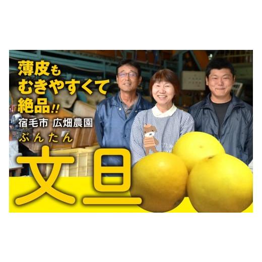 ふるさと納税 みかん・柑橘類 高知県 宿毛市 広畑農園の土佐文旦5kg 家庭用 家庭用 5kg ( 10,000円 )