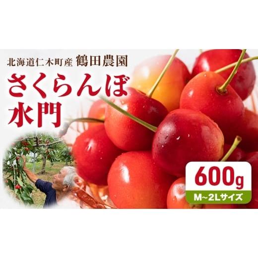 ふるさと納税 果物類 さくらんぼ 北海道 仁木町 先行受付 数量限定 北海道 仁木町産 さくらんぼ 水門 600g M〜2Lサイズ 朝採り サクランボ チェリー フルーツ …