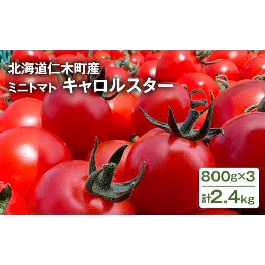 ふるさと納税 トマト ミニトマト 北海道 仁木町 先行受付 北海道 仁木町産 ミニトマト キャロルスター 2.4kg (96粒〜150粒)トマト 野菜 国産 プチトマト 甘…