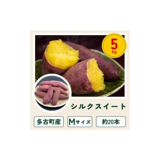 ふるさと納税 野菜類 サツマイモ 千葉県 多古町 多古町産さつまいも「シルクスイート」5kg 1699908