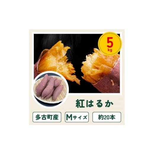 ふるさと納税 野菜類 サツマイモ 千葉県 多古町 多古町産さつまいも「紅はるか」5kg 1699909