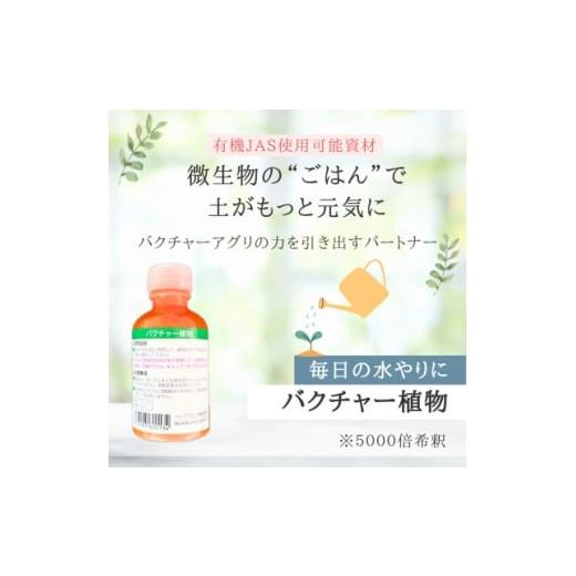 ふるさと納税 花・苗木 盆栽 岡山県 津山市 バクチャー植物 植物の栄養材 1691055