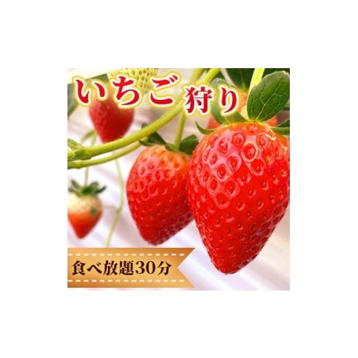 ふるさと納税 イベントやチケット等 栃木県 佐野市 佐野観光農園アグリタウン「いちご狩り」招待券 1693782