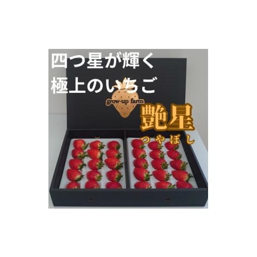 ふるさと納税 いちご 大阪府 茨木市 艶星(イチゴ)約700g〜約800g「甘味、酸味、風味、旨味」四つ星級に美味 採れたてをお届けします 1651647
