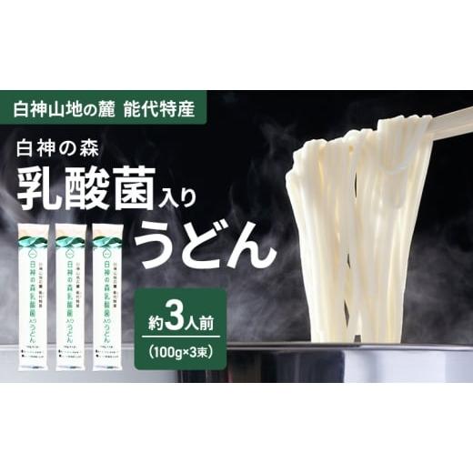 ふるさと納税 うどん 乾めん 秋田県 能代市 うどん 白神の森乳酸菌入りうどん 100g(約1人前)×3束 麺 乾麺 鍋 冷たい 温かい ざるうどん 鍋の締め 腸活 乳酸…