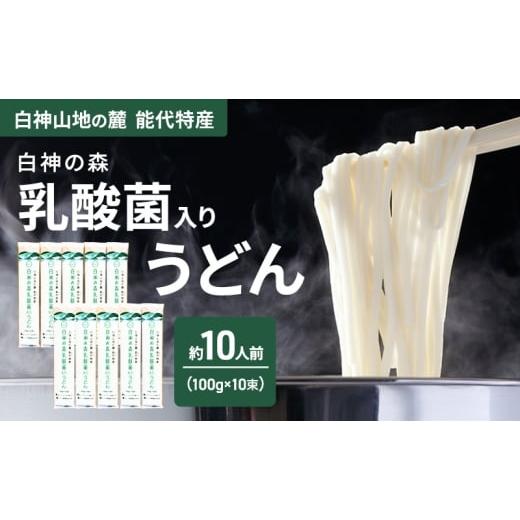 ふるさと納税 うどん 乾めん 秋田県 能代市 うどん 白神の森乳酸菌入りうどん 100g(約1人前)×10束 麺 乾麺 鍋 冷たい 温かい ざるうどん 鍋の締め 腸活 乳…