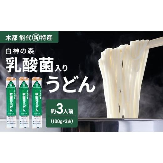 ふるさと納税 うどん 乾めん 秋田県 能代市 うどん 秋田杉うどん 100g(約1人前)×3束 麺 乾麺 鍋 冷たい 温かい ざるうどん 鍋の締め 杉 スギ 木