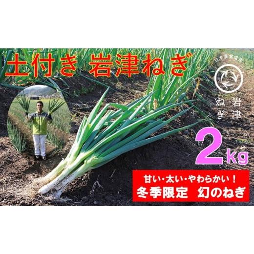 ふるさと納税 野菜類 ねぎ 兵庫県 朝来市 ?本さんちの土付き岩津ねぎ 2kg 岩津ねぎ いわつねぎ ねぎ ネギ 長ネギ 長ねぎ 冬季限定 朝来市限定 甘い 太い 軟ら…