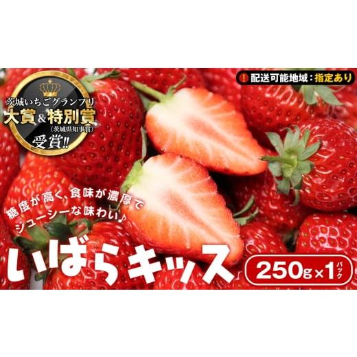 ふるさと納税 いちご 茨城県 坂東市 配送可能地域:指定あり 茨城いちごグランプリ 大賞&特別賞(茨城県知事賞)受賞 いばらキッス1パック(250g) / いち…