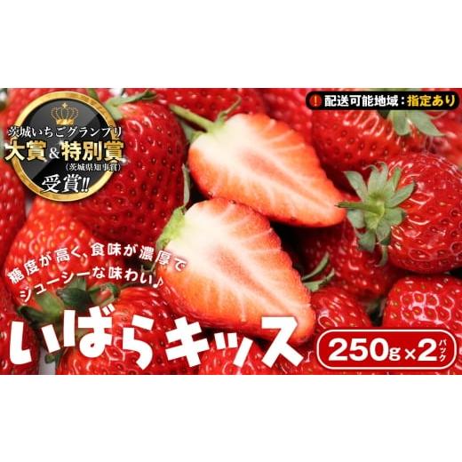 ふるさと納税 いちご 茨城県 坂東市 配送可能地域:指定あり 茨城いちごグランプリ 大賞&特別賞(茨城県知事賞)受賞 いばらキッス2パック(500g) / いち…