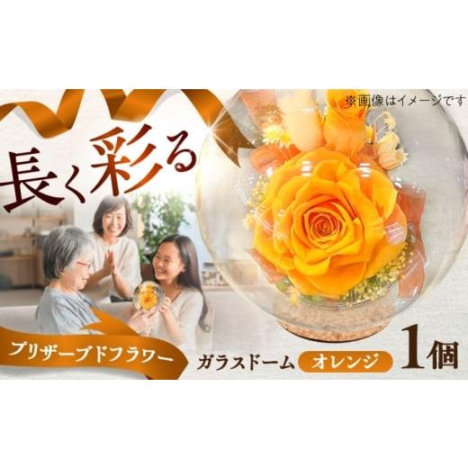 ふるさと納税 雑貨・日用品 花 熊本県 菊陽町 プリザーブドフラワー ガラスドーム (オレンジ) / 花 プレゼント 贈答用 ガラス 母の日 父の日 入学式 卒業式 …