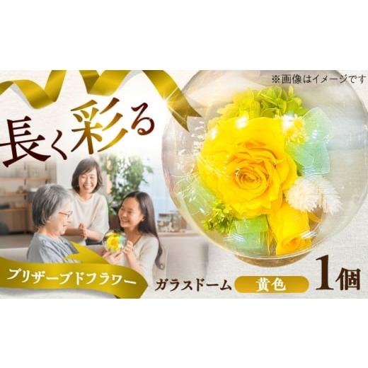 ふるさと納税 雑貨・日用品 花 熊本県 菊陽町 プリザーブドフラワー ガラスドーム (黄色) / 花 プレゼント 贈答用 ガラス 母の日 父の日 入学式 卒業式 菊陽…