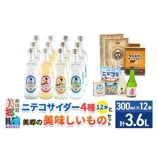 ふるさと納税 炭酸飲料 サイダー 秋田県 美郷町 炭酸飲料 ニテコサイダー4種12本と美郷の美味しいものセット 炭酸飲料 ご当地 サイダー 美郷たぬ中 キーマカレ…_1