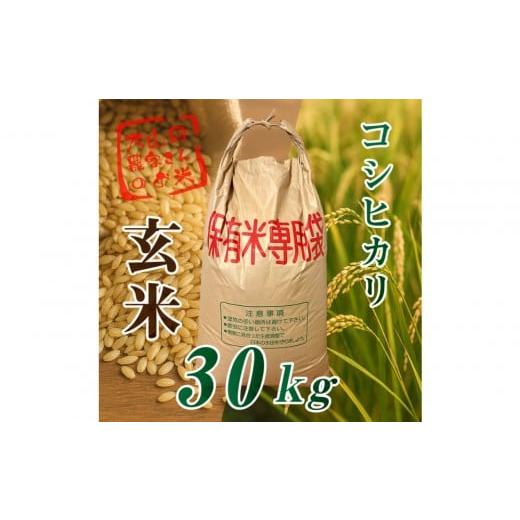 ふるさと納税 玄米 三重県 伊賀市 令和7年度産新米 伊賀産 コシヒカリ 30kg 玄米