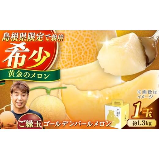 ふるさと納税 メロン 島根県 松江市 ゴールデンパールメロン1.3kg×1玉 島根県松江市/有限会社安藤農園