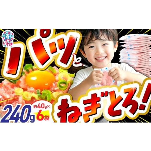 ふるさと納税 マグロ 福島県 いわき市 2026年3月発送 ねぎとろ 約240g(約40g×6パック)| ネギトロ 簡単 調理 いわき市 福島県 小分け 冷凍 個包装 使い切…