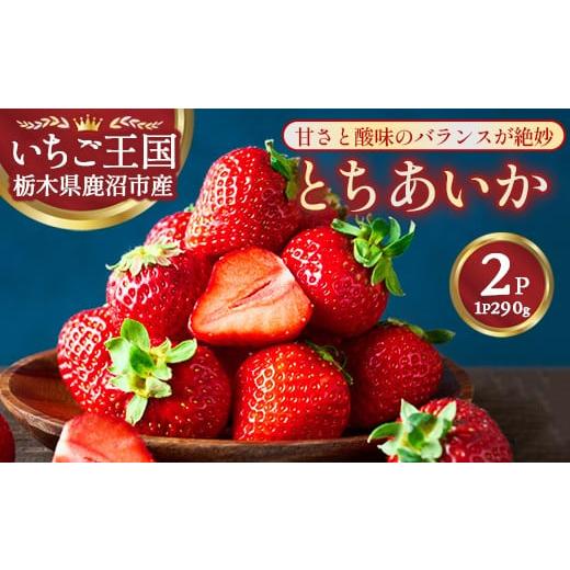 ふるさと納税 いちご 栃木県 鹿沼市 鹿沼市産 とちあいか(290g×2パック) | いちご イチゴ 苺 栃木県 果物 くだもの フルーツ とちあいか 新鮮 贈答 ギフト …