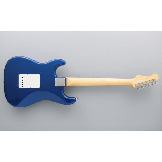 ふるさと納税 楽器 ギター・ベースギター 長野県 大町市 エレキギター