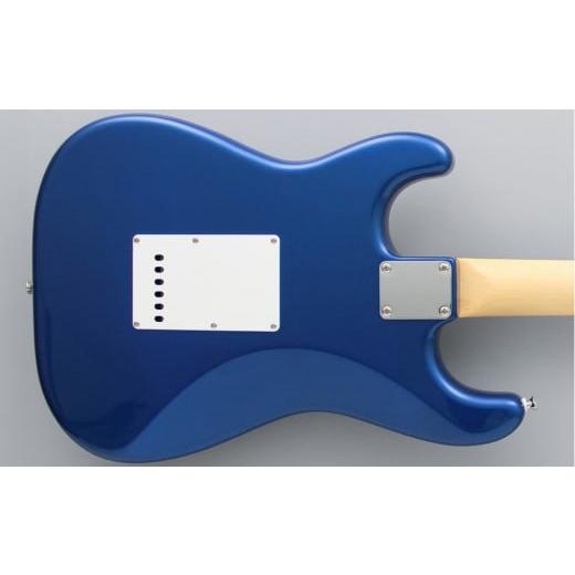 ふるさと納税 楽器 ギター・ベースギター 長野県 大町市 エレキギター