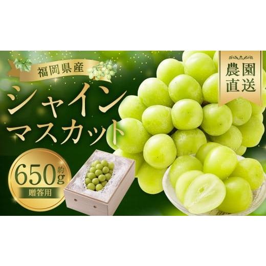 ふるさと納税 ぶどう マスカット 福岡県 筑後市 贈答用 福岡県産 シャインマスカット 糖度18度以上・大粒15g以上 桐箱入り 650g前後(1房)/冷蔵 当日発送 2…