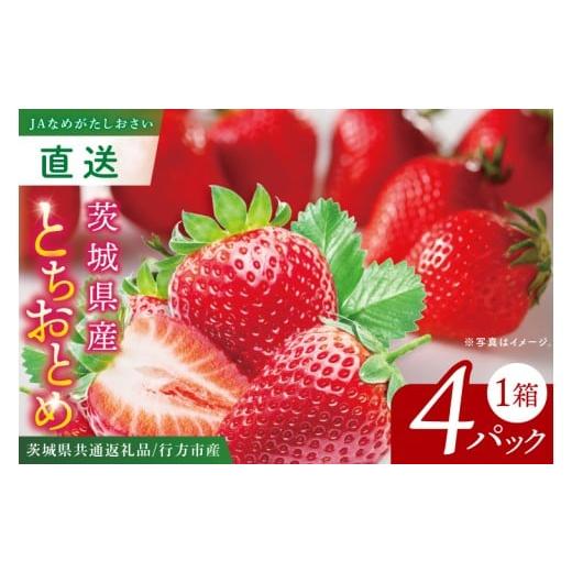 ふるさと納税 いちご 茨城県 阿見町 先行予約12月下旬から発送 茨城県共通返礼品/行方市産 JAなめがたしおさい直送「とちおとめ」1箱 (4パック入) 大粒 酸味…