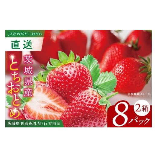 ふるさと納税 いちご 茨城県 阿見町 先行予約12月下旬から発送 茨城県共通返礼品/行方市産 JAなめがたしおさい直送「とちおとめ」2箱 (8パック入) 大粒 酸味…