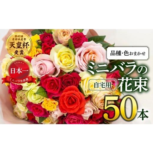 ふるさと納税 雑貨・日用品 花 岐阜県 本巣市 産地直送 ミニバラ 花束 50本 申込から3か月以内 お届け ラッピング付 切花 切り花 カットローズ 品種 色 おまか…
