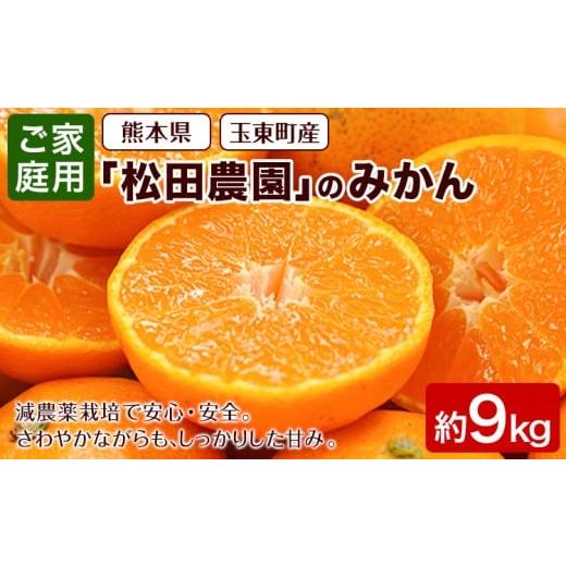 ふるさと納税 果物類 みかん 熊本県 玉東町 『松田農園』 みかん ご家庭用 みかん 日付指定不可 約9kg たっぷり 予約受付中 フルーツ 秋 旬 熊本県玉名郡玉東…