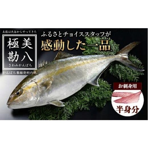 ふるさと納税 魚貝類 高知県 須崎市 カンパチ 勘八 2節 セット | 極美勘八 人気 高級 魚 産地直送 新鮮 かんぱち しゃぶしゃぶ 鍋 照り焼き 刺し身 刺身 さし…
