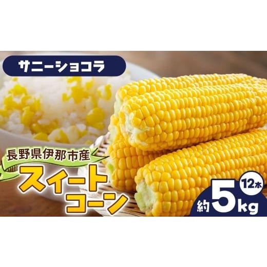 ふるさと納税 とうもろこし 長野県 伊那市 とうもろこし 伊那市産 スイートコーン 約5kg 2Lサイズ 12本入り サニーショコラ 013-50 サニーショコラ