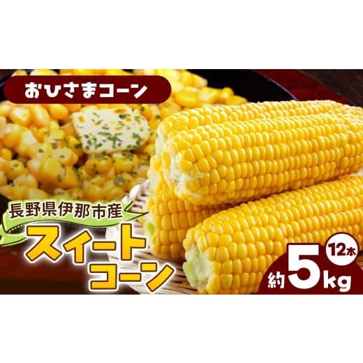 ふるさと納税 とうもろこし 長野県 伊那市 とうもろこし 伊那市産 スイートコーン 約5kg 2Lサイズ 12本入り おひさまコーン 013-51 おひさまコーン