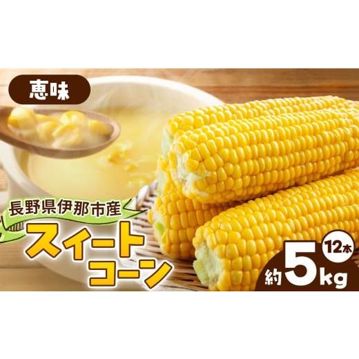 ふるさと納税 とうもろこし 長野県 伊那市 とうもろこし 伊那市産 スイートコーン 約5kg 2Lサイズ 12本入り 恵味 めぐみ 013-52 恵味