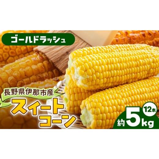 ふるさと納税 とうもろこし 長野県 伊那市 とうもろこし 伊那市産 スイートコーン 約5kg 2Lサイズ 12本入り ゴールドラッシュ 013-53 ゴールドラッシュ