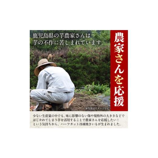 ふるさと納税 野菜類 サツマイモ 鹿児島県 日置市 No.1344 定期便 訳あり・規格外 ハーフカット 紅はるか 冷凍焼きいも (計5.4kg以上・600g×3袋×3回) 国産 …の画像