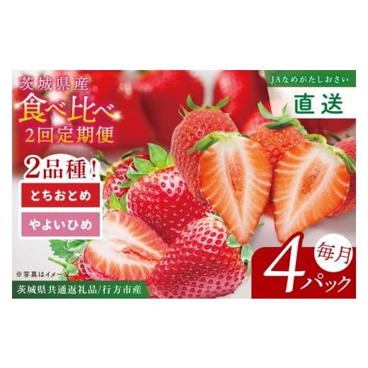 ふるさと納税 いちご 茨城県 阿見町 先行予約2月から1回目発送 茨城県共通返礼品/行方市産 食べ比べいちご・2回定期便「とちおとめ」「やよいひめ」(4パック…