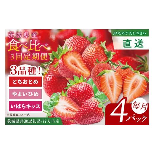 ふるさと納税 いちご 茨城県 阿見町 先行予約1月から1回目発送 茨城県共通返礼品/行方市産 食べ比べいちご・3回定期便「いばらキッス/とちおとめ/やよいひ…