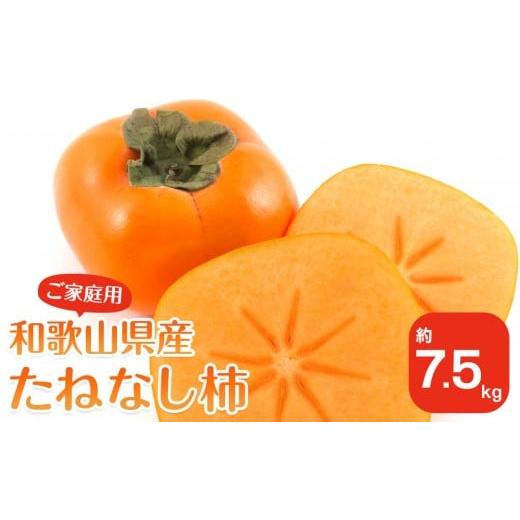 ふるさと納税 果物類 柿 和歌山県 九度山町 [2026年10月上旬以降発送] 先行予約 和歌山県産 平核無柿 ご家庭用 約7.5kg 満杯詰め 柿 種無し たねなし ひらた…