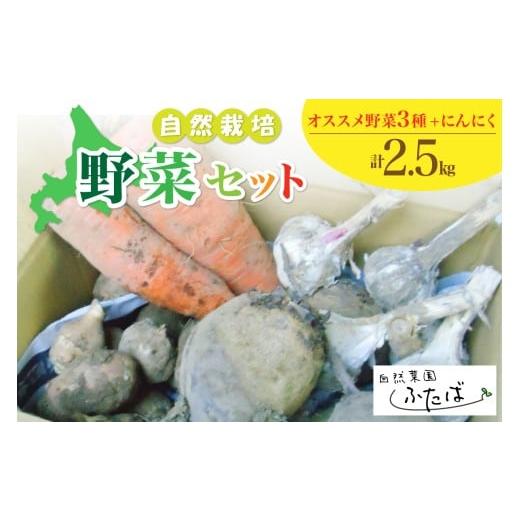 ふるさと納税 セット・詰合せ 北海道 芽室町 北海道十勝芽室町 自然菜園ふたば 宇佐美亮の野菜セット2.5kg me074-012c