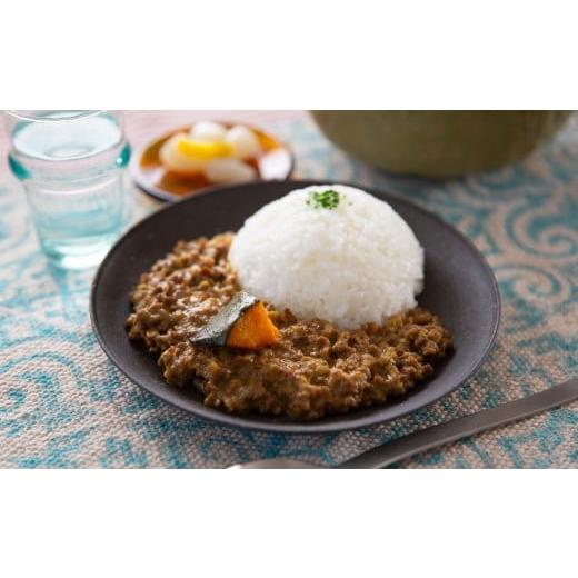 ふるさと納税 牛肉 カレー・シチュー 福島県 飯舘村 飯舘産黒毛和牛キーマ 10食セット ふるさと納税 人気 おすすめ ランキング カレー キーマカレー かぼちゃ…