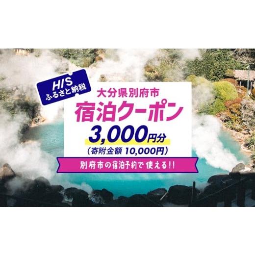 ふるさと納税 宿泊券 温泉 大分県 別府市 3,000円分 HISふるさと納税宿泊予約専用クーポン(大分県別府市) HIS(宿泊のみ):3,000円