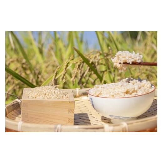 ふるさと納税 米 きぬむすめ 兵庫県 上郡町 清流千種川で育ったきぬむすめ玄米10kg | お米 おこめ 米 コメ こめ ヒノヒカリ 玄米 兵庫県産 艶 粘り 甘み ふっ…