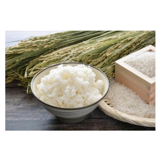 ふるさと納税 米 きぬむすめ 兵庫県 上郡町 上郡町産高田米きぬむすめ白米10kg | 白米 米 きぬむすめ 上郡町産 高田米 10kg 兵庫県産 艶 粘り 甘み ふっくら …