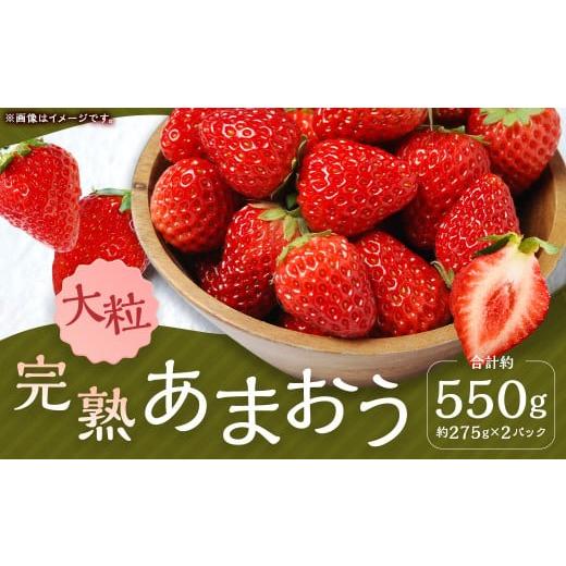ふるさと納税 いちご 福岡県 筑後市 完熟あまおう(大粒サイズ)275g×2パック 計約550g 2026年1月上旬から3月下旬頃発送予定 苺 いちご イチゴ 果物 くだもの…