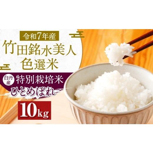 ふるさと納税 米 ひとめぼれ 大分県 竹田市 令和7年産 竹田銘水美人色選米 白丹産特別栽培米 ひとめぼれ 10kg