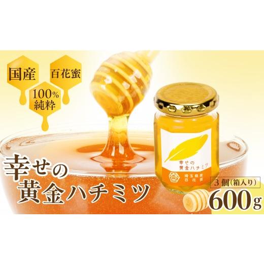 ふるさと納税 加工品等 はちみつ 埼玉県 久喜市 はちみつ 幸せの黄金ハチミツ 200g×3個 箱入り | はちみつ ハチミツ 蜂蜜 百花蜜 百花 純粋はちみつ 純粋 200…の画像