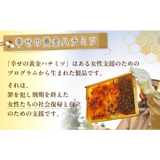 ふるさと納税 加工品等 はちみつ 埼玉県 久喜市 はちみつ 幸せの黄金ハチミツ 200g×3個 箱入り | はちみつ ハチミツ 蜂蜜 百花蜜 百花 純粋はちみつ 純粋 200…の画像